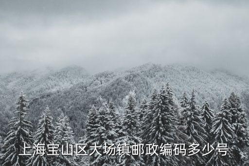 上海寶山區(qū)大場(chǎng)鎮(zhèn)郵政編碼多少號(hào)