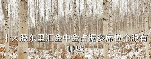 深圳惠程匯金成大股東，十大股東里匯金中金占據(jù)多席位個(gè)股有哪些
