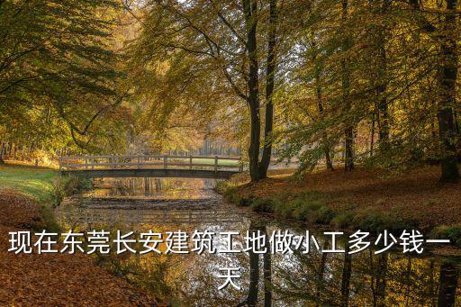 現在東莞長安建筑工地做小工多少錢一天