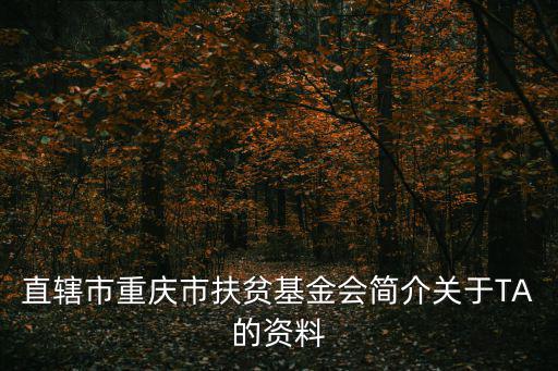 直轄市重慶市扶貧基金會簡介關(guān)于TA的資料