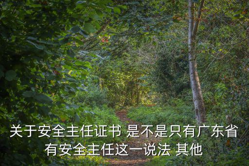 關于安全主任證書 是不是只有廣東省有安全主任這一說法 其他