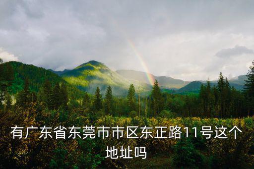 有廣東省東莞市市區東正路11號這個地址嗎
