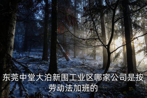 東莞中堂大泊新圍工業(yè)區(qū)哪家公司是按勞動法加班的