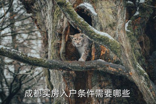 成都買房入戶條件需要哪些