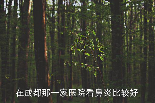 在成都那一家醫院看鼻炎比較好