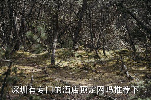 深圳有專門的酒店預定網嗎推薦下