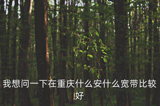 重慶市家里裝寬帶哪個好，重慶辦寬帶那個更好點