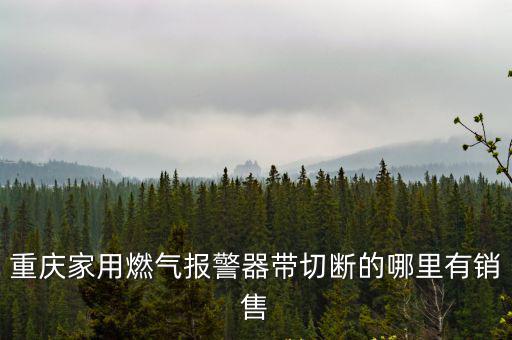 重慶家用燃氣報警器帶切斷的哪里有銷售