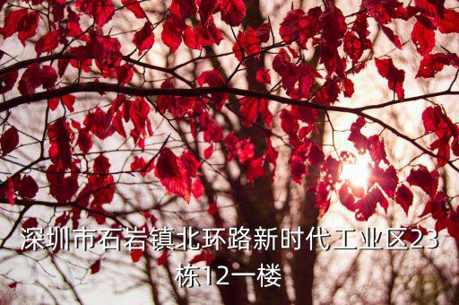 深圳石巖村委統建樓，深圳沙井的統建樓
