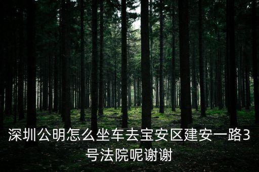 深圳公明法院，深圳市公明
