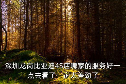 深圳龍崗比亞迪4S店哪家的服務好一點去看了一家太差勁了