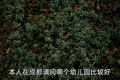 本人在成都請問哪個幼兒園比較好