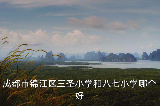 成都市錦江區三圣小學和八七小學哪個好