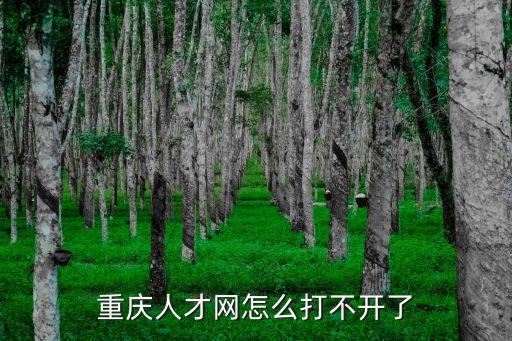 重慶人才網怎么打不開了