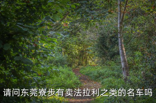 請(qǐng)問(wèn)東莞寮步有賣(mài)法拉利之類(lèi)的名車(chē)嗎