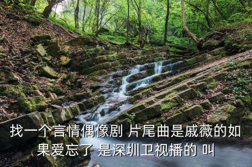 找一個言情偶像劇 片尾曲是戚薇的如果愛忘了 是深圳衛視播的 叫