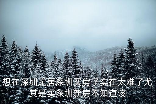 深圳買房難嗎，想在深圳定居深圳買房子實(shí)在太難了尤其是買深圳新房不知道該