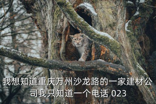 重慶市冠格建材有限公司，重慶有集成吊頂廠沒有