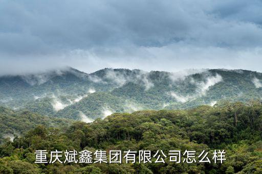 重慶斌鑫集團(tuán)有限公司怎么樣