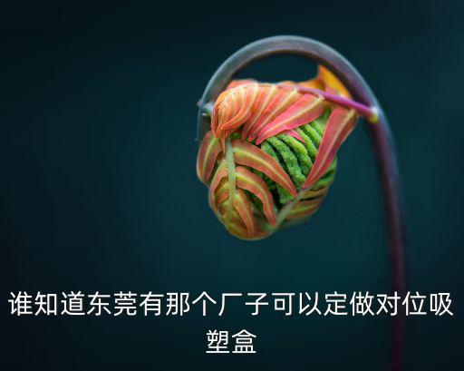 誰(shuí)知道東莞有那個(gè)廠子可以定做對(duì)位吸塑盒
