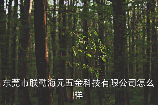 東莞市聯勤海元五金科技有限公司怎么樣