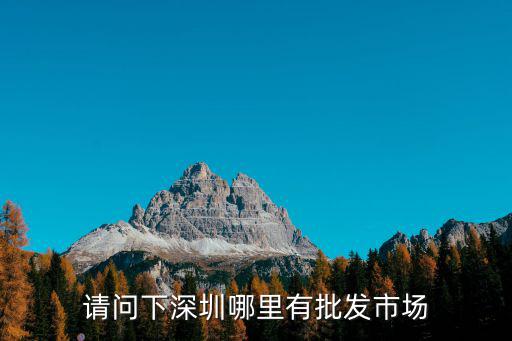 深圳批發市場，深圳最大的批發市場在那里