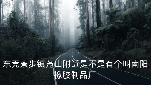 東莞寮步鎮鳧山附近是不是有個叫南陽橡膠制品廠