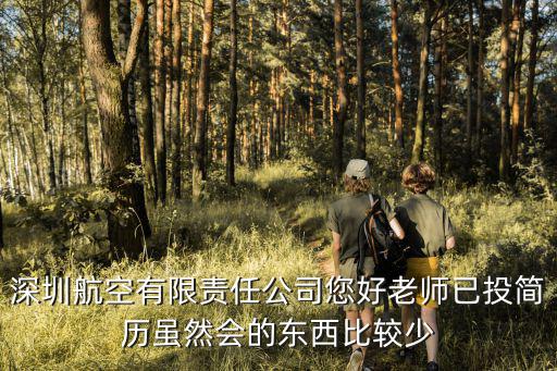 深圳航空有限責(zé)任公司您好老師已投簡(jiǎn)歷雖然會(huì)的東西比較少