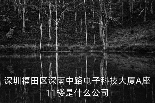 深圳市長隆科技有限公司，深圳福田區(qū)深南中路電子科技大廈A座11樓是什么公司