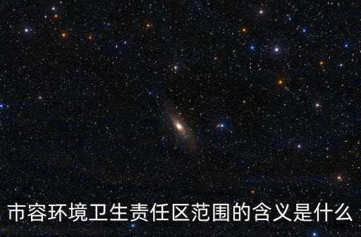 成都市容環境衛生，市容環境衛生管理