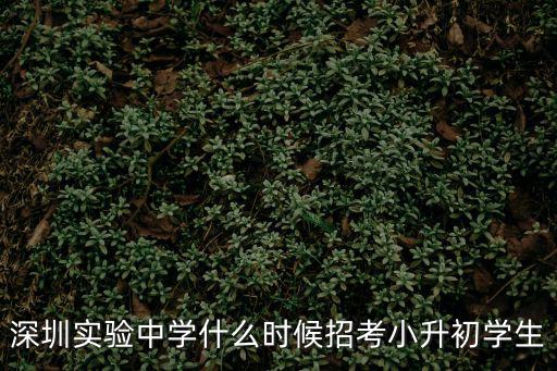 深圳實驗中學什么時候招考小升初學生