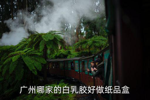 廣州益佳紙品廠，新火車站用紙是哪個公司生產的