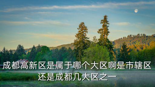 成都市高新區(qū)，成都高新區(qū)是屬于哪個(gè)大區(qū)啊是市轄區(qū)還是成都幾大區(qū)之一