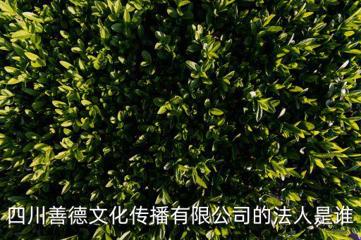 四川善德文化傳播有限公司的法人是誰