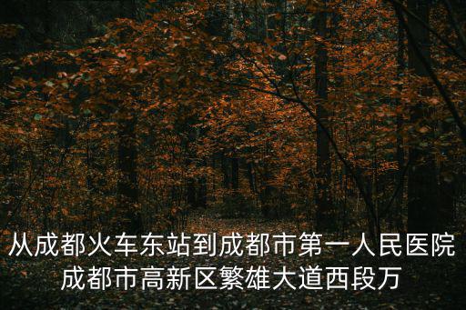 從成都火車東站到成都市第一人民醫院成都市高新區繁雄大道西段萬