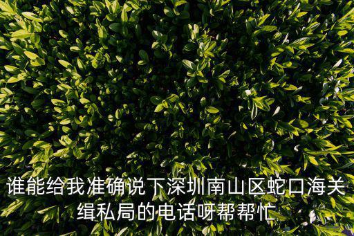 誰(shuí)能給我準(zhǔn)確說下深圳南山區(qū)蛇口海關(guān)緝私局的電話呀幫幫忙