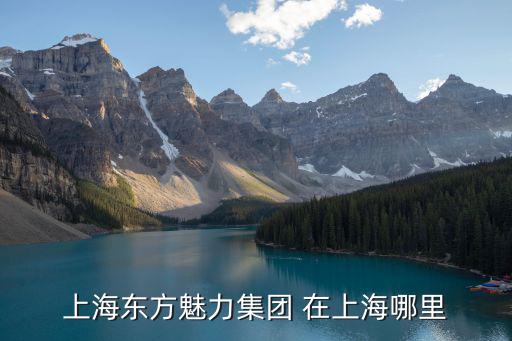 上海東方魅力集團(tuán) 在上海哪里