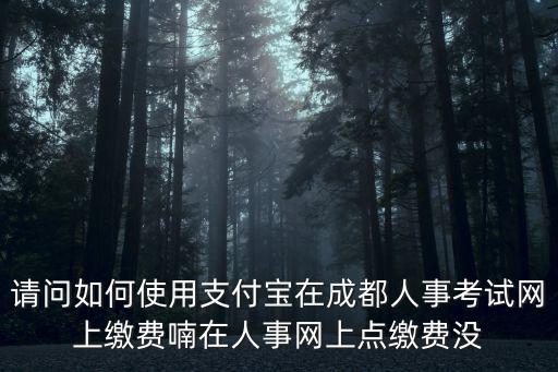 成都市青少年競賽網在哪里繳費，請問如何使用支付寶在成都人事考試網上繳費喃在人事網上點繳費沒