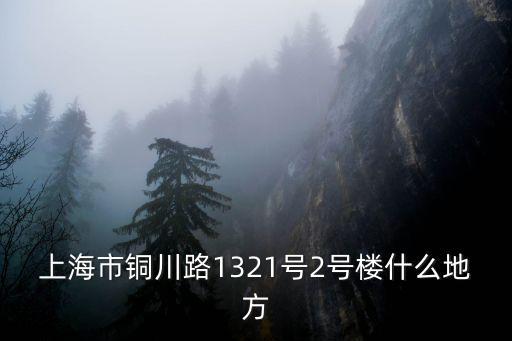 上海市銅川路1321號2號樓什么地方