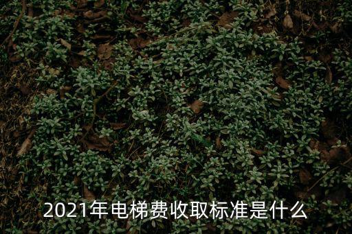 2021年電梯費收取標準是什么