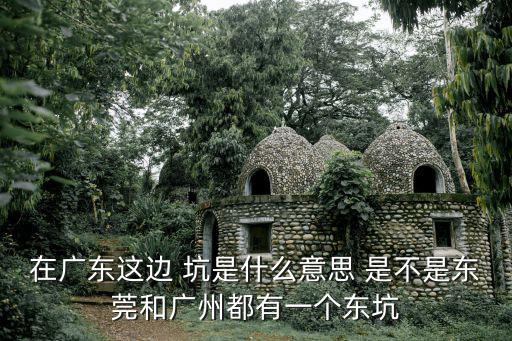 在廣東這邊 坑是什么意思 是不是東莞和廣州都有一個東坑