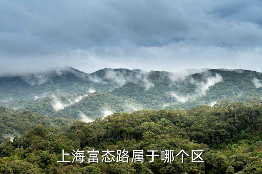 上海富態(tài)路屬于哪個(gè)區(qū)