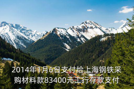 2014年1月6日支付給上海鋼鐵采購材料款83400元工行存款支付