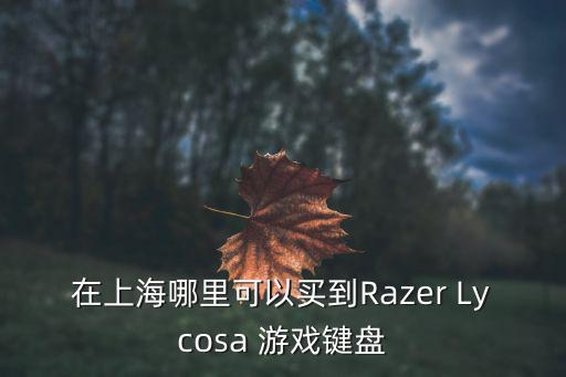 在上海哪里可以買到Razer Lycosa 游戲鍵盤
