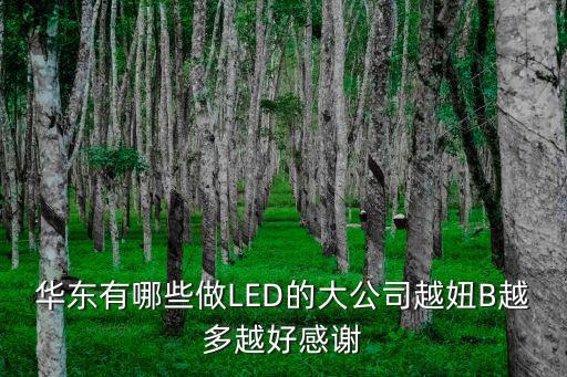 華東有哪些做LED的大公司越妞B越多越好感謝