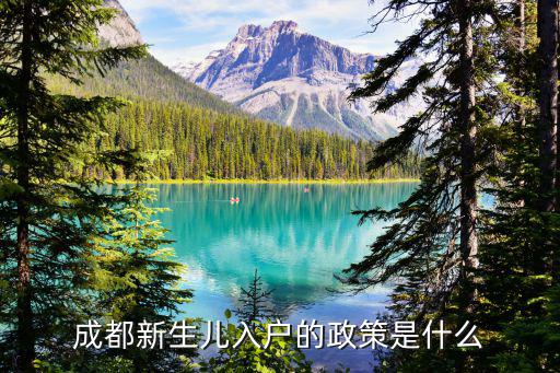 成都新生兒入戶的政策是什么