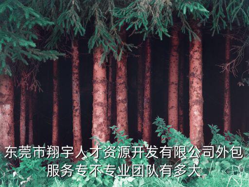 東莞市翔宇人才資源開發有限公司外包服務專不專業團隊有多大