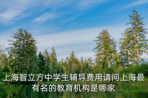 上海智立方中學(xué)生輔導(dǎo)費用請問上海最有名的教育機(jī)構(gòu)是哪家