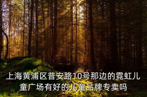 上海黃浦區普安路10號那邊的霓虹兒童廣場有好的兒童品牌專賣嗎