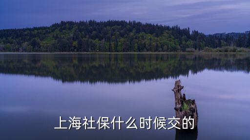 上海社保什么時候交的